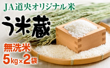 [令和4年度産新米]う米蔵無洗米5kg×2[29025]