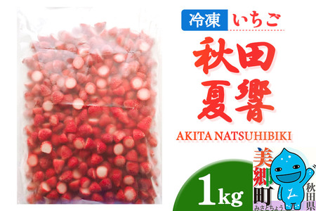 秋田夏響 冷凍 1kg 夏イチゴ いちご 苺 なつひびき