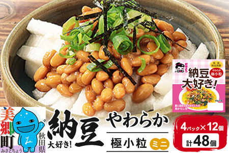 ヤマダフーズ 納豆大好きやわらか 極小粒 ミニ 4パック×12個(計48個)