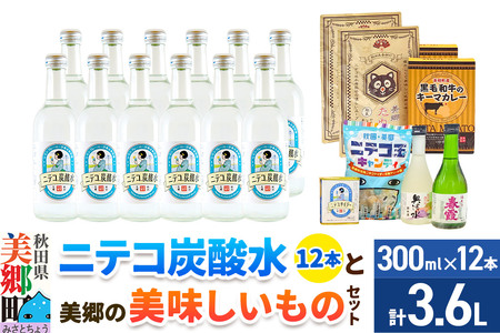 炭酸飲料 ニテコ炭酸水12本と美郷の美味しいものセット