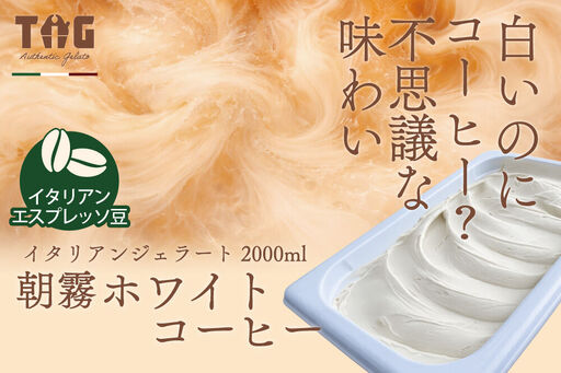 ジェラート ジェラテリア TiG(ティグ)イタリアンジェラート 朝霧ホワイトコーヒー 2000ml (2L) 大容量 秋田 美郷町