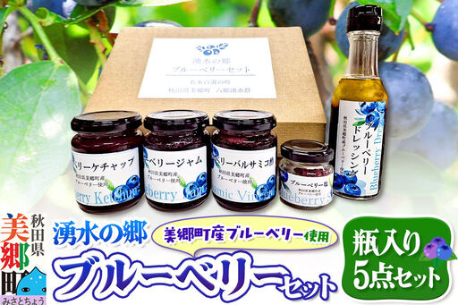 湧水の郷ブルーベリーセット 5点 (バルサミコ酢、ドレッシング、ジャム、ケチャップ、ブルーベリー塩)