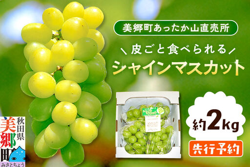 [先行受付]シャインマスカット 約2kg