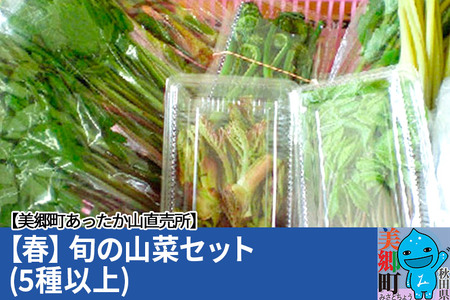 [先行受付][春]旬の山菜セット(5種類以上)美郷町あったか山直売所/ワラビ・タラの芽・タケノコ・山ウド・アイコ・シドケなど中身おまかせ