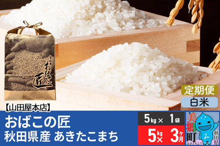 [定期便3ヶ月]令和7年産 おばこの匠 秋田県産あきたこまち 5kg×3回 計15kg(白米)5kg袋 秋田こまち お米