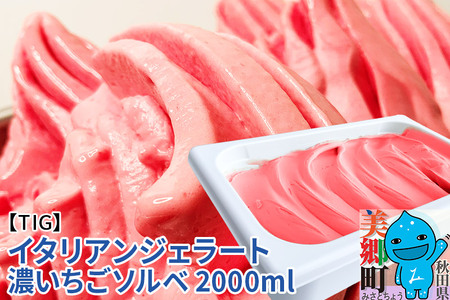 ジェラテリア TiG(ティグ)イタリアンジェラート 無着色・無香料 濃いちごソルベ 2000ml(2L)