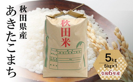 農家直送 秋田県産 あきたこまち 5kg (5kg×1)[令和6年産] 大谷地ファーム 田代のお米[ 米 お米 ご飯 あきたこまち ブランド米 銘柄米 農家直送 特産品 秋田 羽後 ]