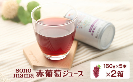 ԕW[Xusonomamavi160g×5{j×2 Ԃǂ uhE W[X ԂǂW[X 