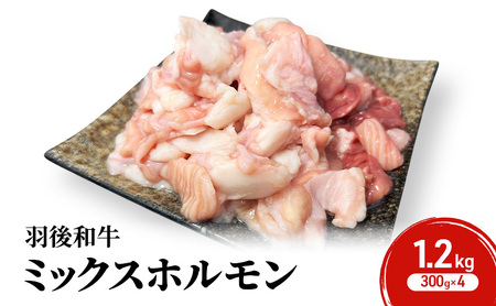 Hc H㒬Y Ha ~bNXz 1.2kg i300g×4jy ē z BBQ o[xL[ Lv z