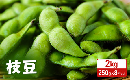 s\ Hc H㒬Y } 2kg i250g×8j [܂ ȒPW Y Y ܂]