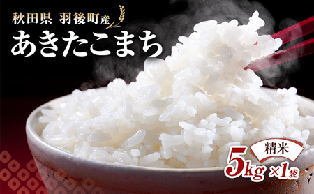 秋田県 羽後町産 あきたこまち 精米 5kg×1袋[ 米 お米 白米 精米 アキタコマチ 美味しい 秋田 羽後 ]