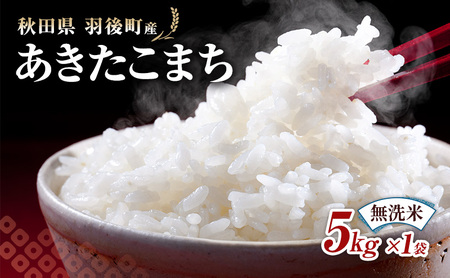 秋田県 羽後町産 あきたこまち 無洗米 5kg×1袋 [ 米 お米 白米 精米 アキタコマチ 美味しい 秋田 羽後 ]