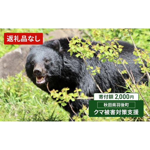 [返礼品なし]クマ被害対策支援(秋田県羽後町)2,000円 応援 支援 寄附のみ[羽後町ふるさと納税]