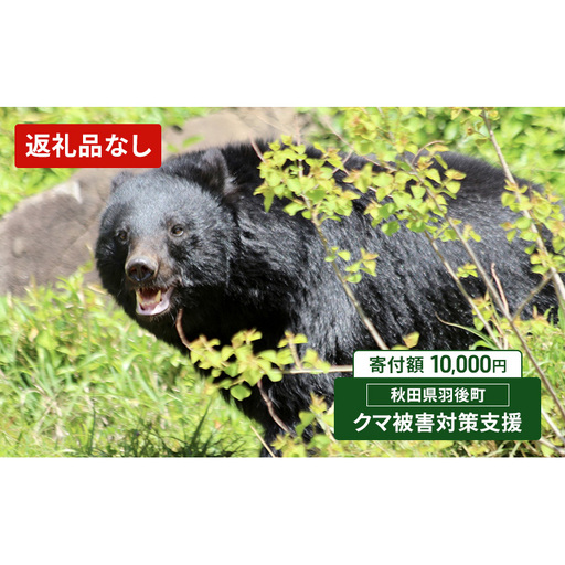 【返礼品なし】クマ被害対策支援（秋田県羽後町）10,000円 応援 支援 寄附のみ【羽後町ふるさと納税】