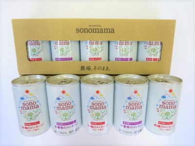 「sonomama」ミックス(160g×10本)