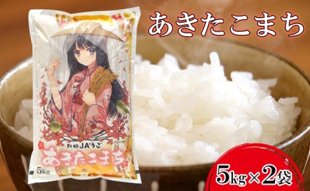 11月発送開始[令和7年度産]美少女イラスト 粒がひと回り大きい あきたこまち10kg(5kg×2袋)単一原料米[ 米 お米 白米 精米 粒が大きい ふっくら 甘み 新米 先行予約 高品質米 ブランド米 銘柄米 秋田県 羽後町 ]