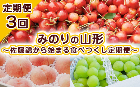 [定期便3回]みのりの山形〜佐藤錦から始まる食べつくし定期便〜 [令和7年産先行予約]FU23-708 くだもの 果物 フルーツ 山形 山形県 山形市 2025年産