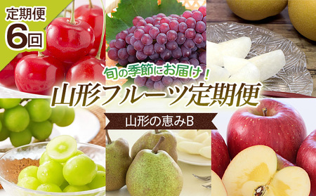 【定期便6回】山形の恵みB 【令和7年産先行予約】FU23-728 くだもの 果物 フルーツ 山形 山形県 山形市 2025年産