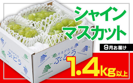 t[cR` VC}XJbg Gi 1.4kgȏ(2`4[)[9͂] yߘa8NYs\zFS23-732  ʕ t[c R` R` R`s 2026NY