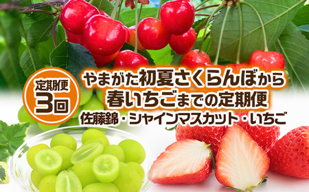 y3z܂ Ăڂt܂ł̒ [сEVC}XJbgE]yߘa8NYs\zFS24-536  ʕ t[c R` R` R`s 2026NY