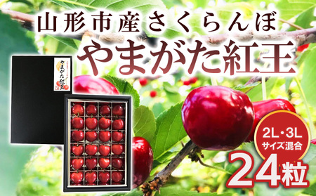 山形市産 さくらんぼ [やまがた紅王] 2L/3Lサイズ混合 24粒 [令和8年産先行予約]FS25-538