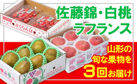 y3zt[cR`сEEtX yߘa8NYs\zFS25-663  ʕ t[c R` R` R`s 2026NY