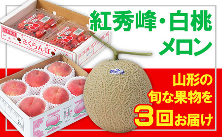 y3zt[cR`gGEE yߘa8NYs\zFS25-665  ʕ t[c R` R` R`s 2026NY