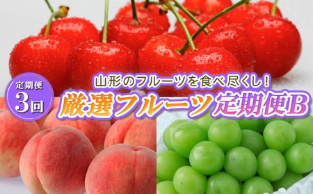 【定期便3回】山形のフルーツを食べ尽くし！厳選フルーツ定期便B 【令和7年産先行予約】FS23-858 くだもの 果物 フルーツ 山形 山形県 山形市 2025年産