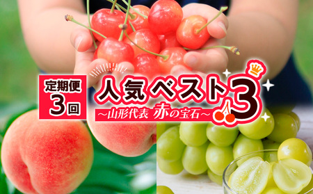 y3zlCxXg3 `R`\ Ԃ̕΁`yߘa8NYs\zFS24-520  ʕ t[c R` R` R`s 2026NY