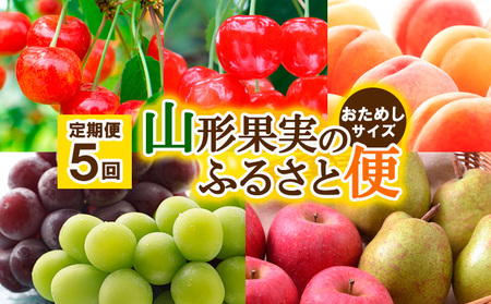 【定期便5回】山形果実のふるさと便 おためしサイズ【令和7年産先行予約】FU23-882 くだもの 果物 フルーツ 山形 山形県 山形市 2025年産