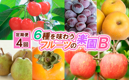 y4zU𖡂키t[c̊yayߘa8NYs\zFS25-622  ʕ t[c R` R` R`s 2026NY