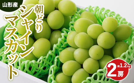 ǂVC}XJbg Gi 2[ 1.2kgyߘa8NYs\z FS25-589  ʕ t[c R` R` R`s 2026NY