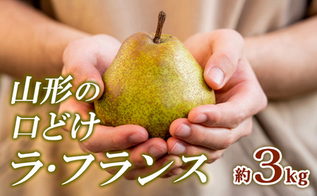 R`̌ǂEtX Gi 3kg FY24-011