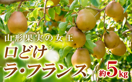 R`ʎ̏ ǂEtX Gi 5kg FY24-012