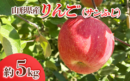 R`Y  (Tӂ) 5kg(14`25) FY24-028