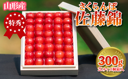  uсv 300g Gi 2LTCY ˔ R`Yyߘa8NYs\z  FS24-033  ʕ t[c R` R` R`s 2026NY