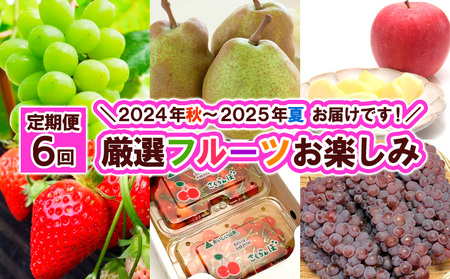 【定期便６回】厳選フルーツお楽しみ＼2024年 秋 ～2025年 夏 お届けです！／ FY24-078