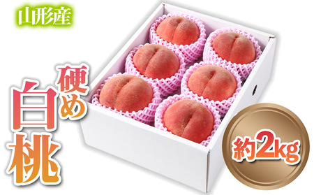 山形産 硬め 「白桃」 秀品 約2kg (5玉～8玉)【令和7年産先行予約】 FS24-083 くだもの 果物 フルーツ 山形 山形県 山形市 2025年産