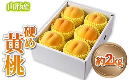 山形産 硬め 「黄桃」 秀品 約2kg (5玉～8玉)【令和7年産先行予約】 FS24-084 くだもの 果物 フルーツ 山形 山形県 山形市 2025年産