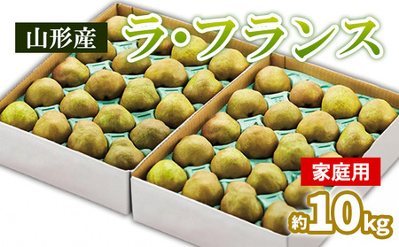 R`̃EtX ƒp 10kg(5kg×2) 24`48@ FY25-829