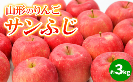 山形のりんご サンふじ 秀品 約3kg(6～12個) FY24-209
