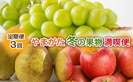 【定期便3回】やまがた冬の果物 満喫便 FY24-300