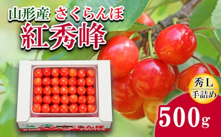 さくらんぼ(紅秀峰)L500g手詰め [令和7年産先行予約]FS24-583くだもの 果物 フルーツ 山形 山形県 山形市 2025年産