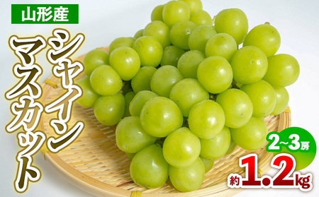 R`Y VC}XJbg 1.2kg(2`3[) yߘa7NYs\zFS24-708