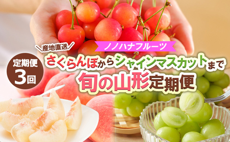 y3zmmnit[c ڂVC}XJbg܂ŁyYnz {̎R` yߘa8NYs\zFS24-718  ʕ t[c R` R` R`s 2026NY