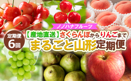 y6zmmnit[c ڂ񂲂܂ yYnz ܂邲ƎR` yߘa8NYs\zFS24-719  ʕ t[c R` R` R`s 2026NY