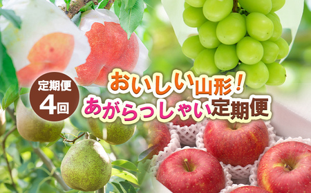 y4zR`I Ⴂ yߘa8NYs\zFS24-721  ʕ t[c R` R` R`s 2026NY