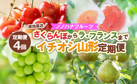 y4zmmnit[c ڂ烉EtX܂ yYnzC`IVR` yߘa8NYs\zFS25-592  ʕ t[c R` R` R`s 2026NY