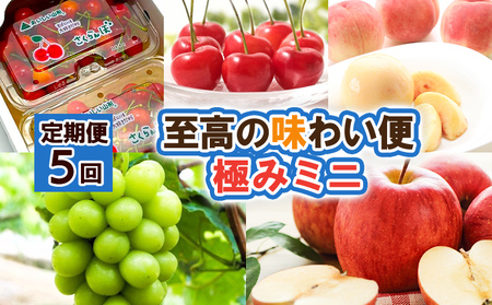 y5z̖킢 ɂ݃~j yߘa8NYs\zFS25-618  ʕ t[c R` R` R`s 2026NY