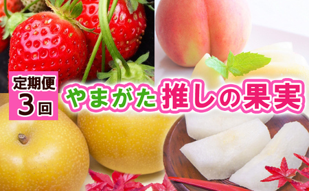 y3z܂ ̉ʎyߘa8NYs\zFS24-741  ʕ t[c R` R` R`s 2026NY